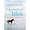 Kép 2/3 - felszabaditott-lelek-diszkiadas